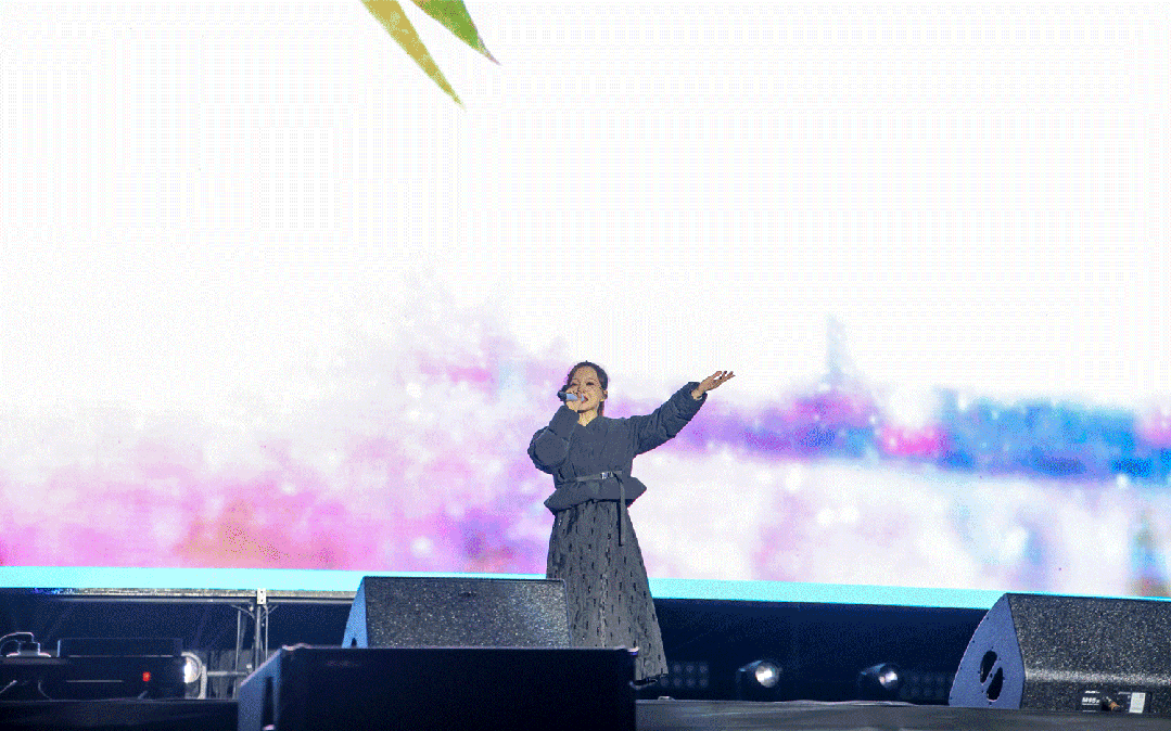 平陽體育中心群星演唱會！超萬人圍觀，現(xiàn)場火爆High唱！