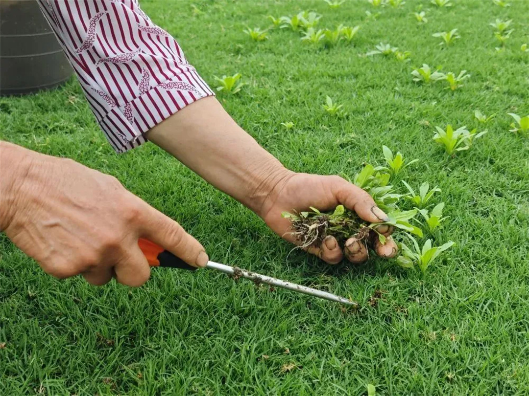 萬豪集團匠心助力，6月齊聚重慶龍興足球場為國足吶喊助威！