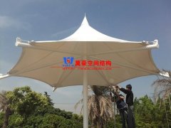 膜結(jié)構(gòu)形態(tài)有哪幾種？分別有哪些特點(diǎn)特征？